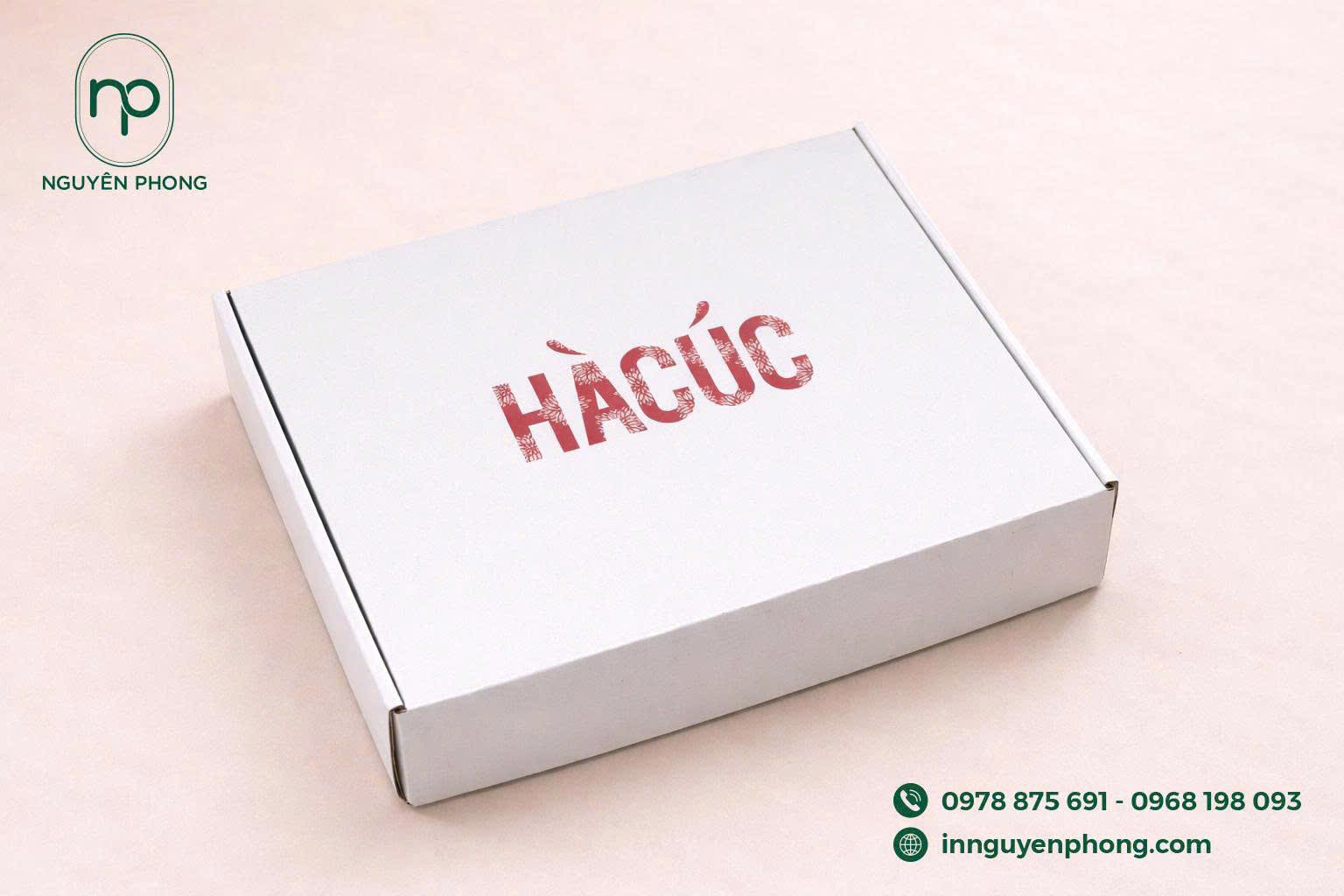 Mẫu in hộp đựng quần áo thương hiệu 